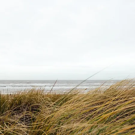 Near Texel With Sauna Vila