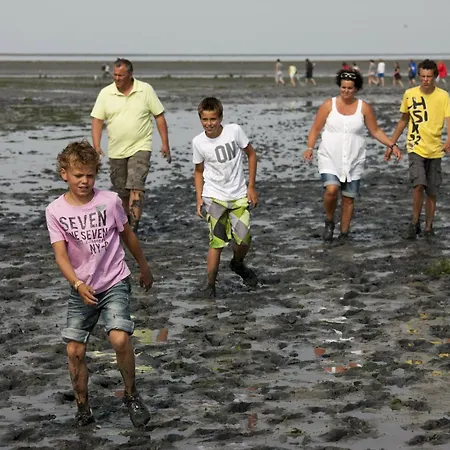 Near Texel With Sauna * De Koog (Texel)