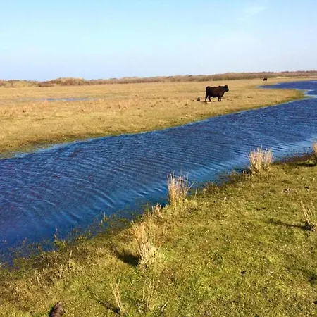 Near Texel With Sauna Villa *