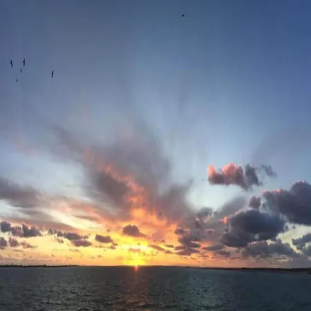 Near Texel With Sauna De Koog (Texel)